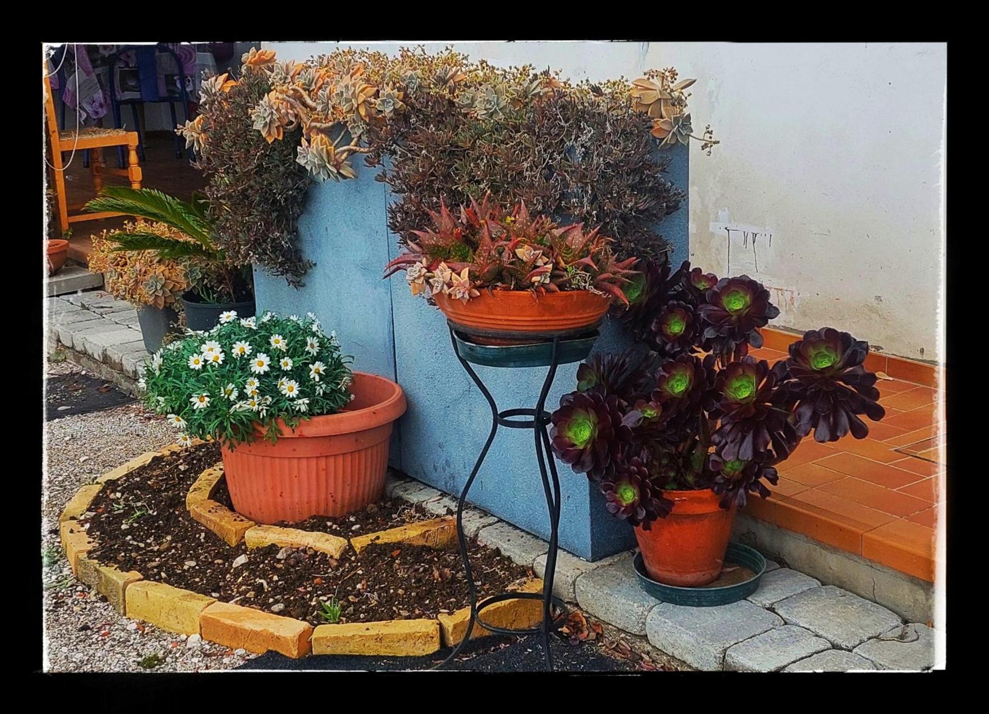 B&B Da Gi&Jo Forgaria nel Friuli Εξωτερικό φωτογραφία